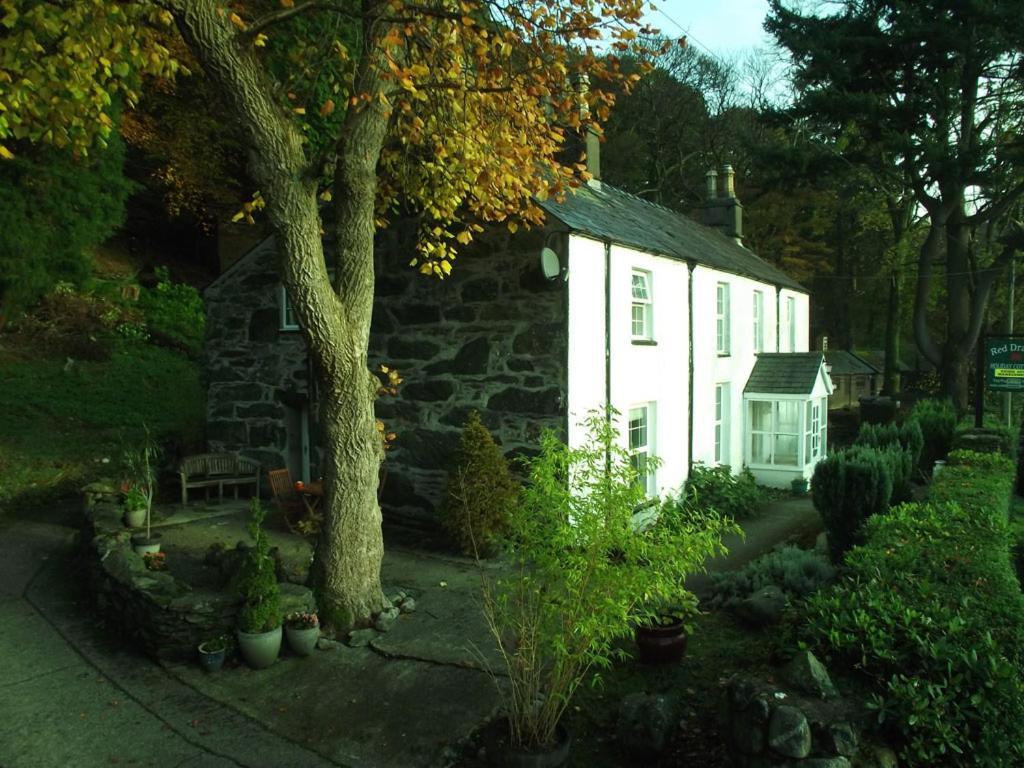 Red Dragon Cottages Nr Mt Snowdon Beddgelert Exterior photo